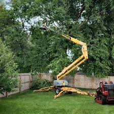 Best Weed Control  in Marsing, ID