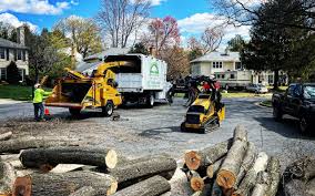 Best Lawn Mowing  in Marsing, ID