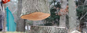 Best Tree Preservation Services  in Marsing, ID