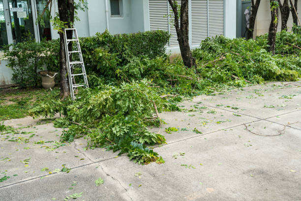 Best Utility Line Clearance  in Marsing, ID